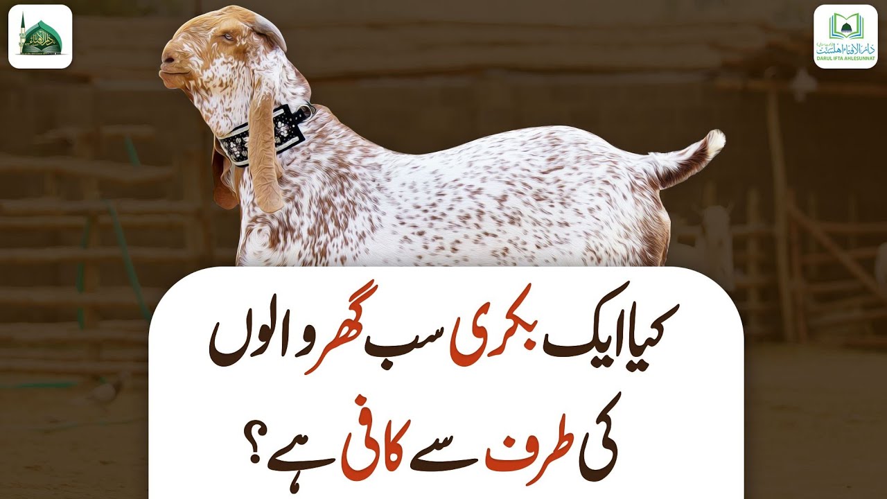 Kya Aik Bakri Sab Ghar Walo Ki Taraf Se Kafi Hai?